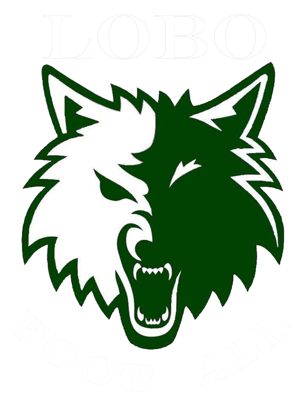 LOBOS ACADEMIA JUÁREZ